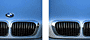 BMW kidney grill