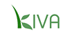 Kiva