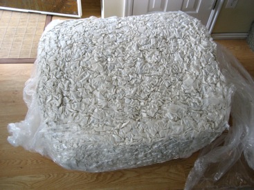 SumoSac asdf