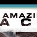 The Amazing Race