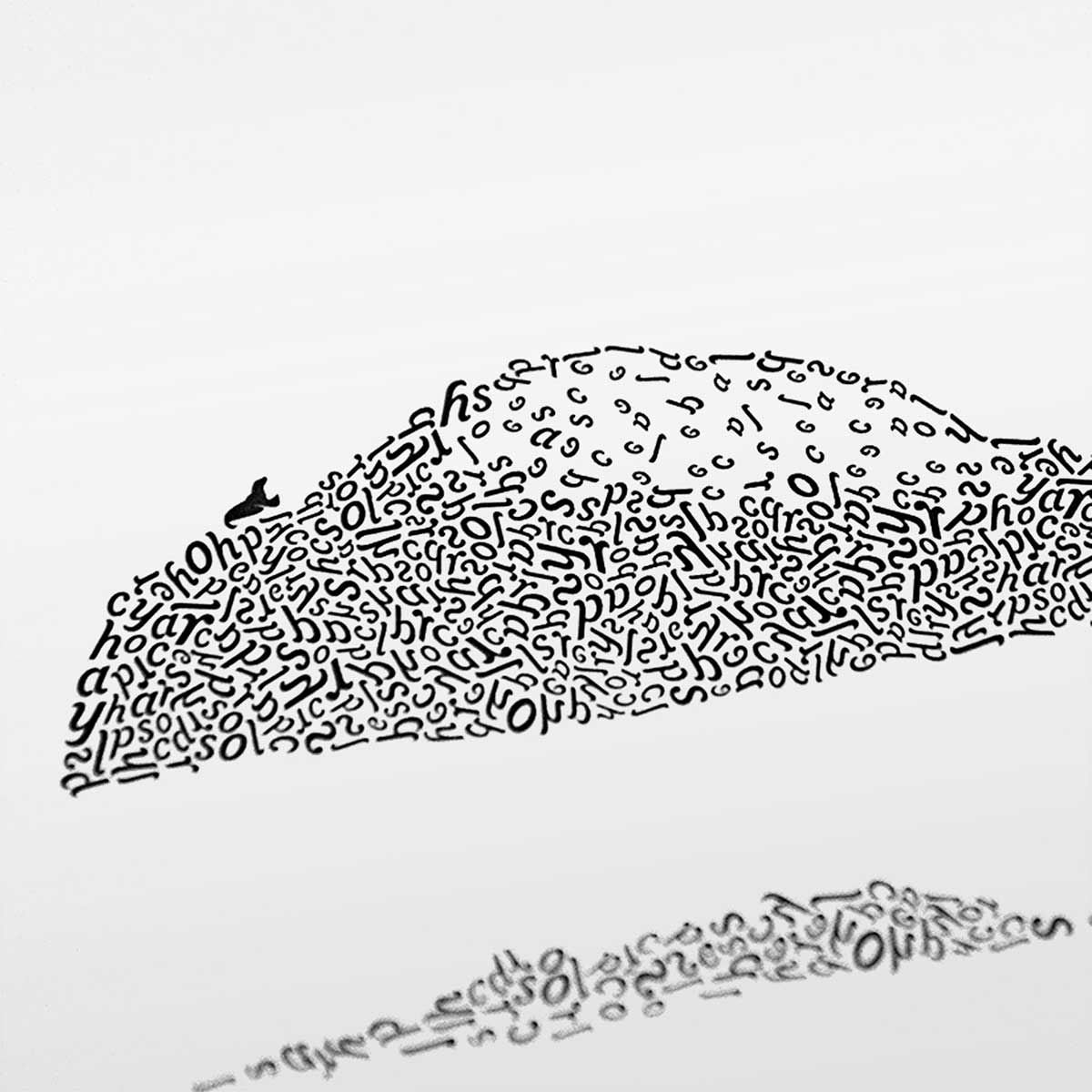 Detail showing a seal sitting on the rocky shore